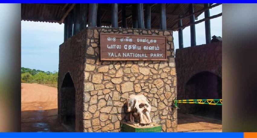 යාල වනෝද්‍යානයේ කලාප දෙකක් වසා දැමේ...